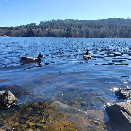 Апартаменти Lipno Pearl 4 Ліпно-над-Влтавою Екстер'єр фото