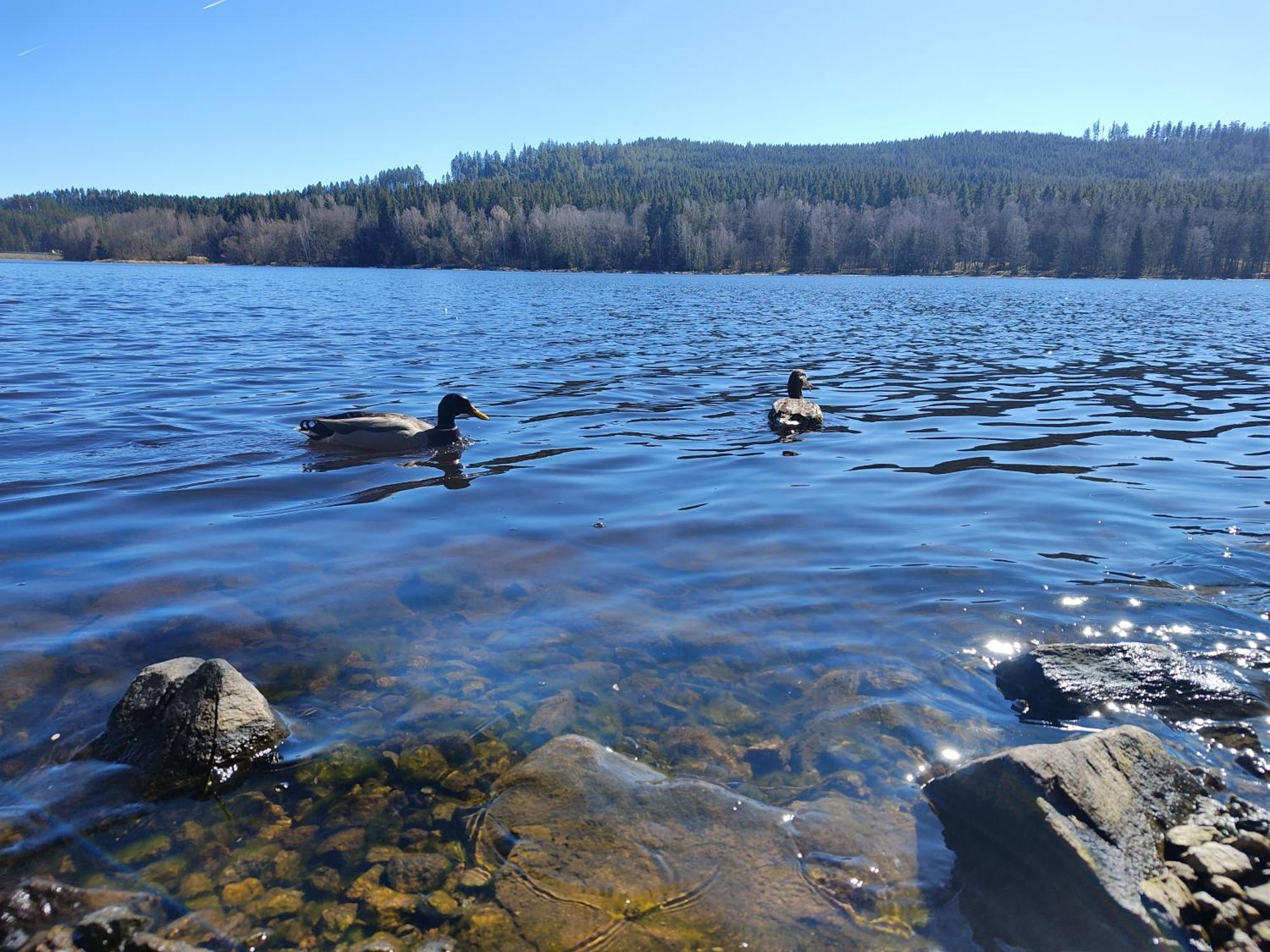 Апартаменти Lipno Pearl 4 Ліпно-над-Влтавою Екстер'єр фото